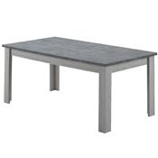 Table 170 cm couleur chêne clair et gris EMRIC