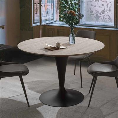 Table ronde extensible couleur bois CESARIO